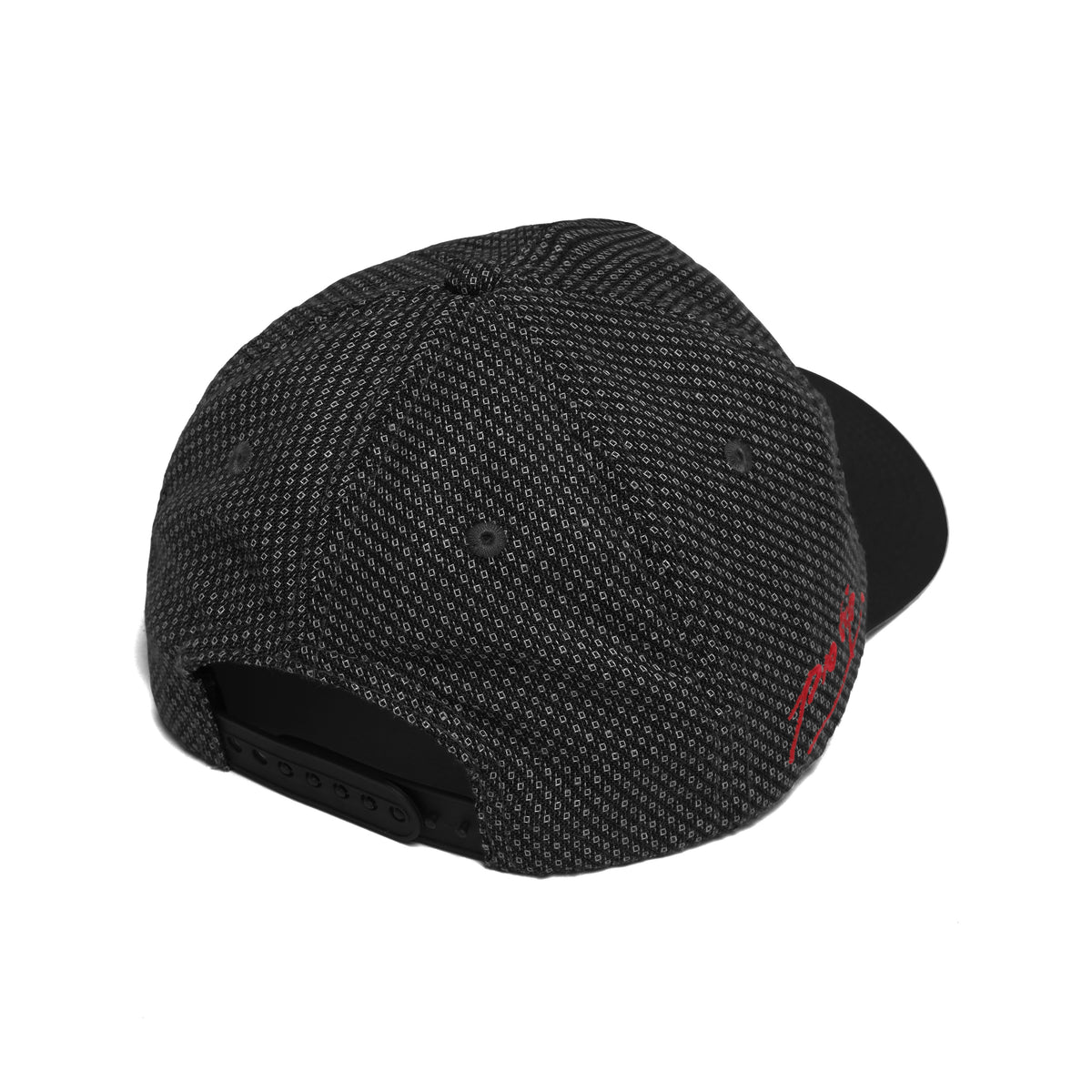 Pro Tip Snapback Hat