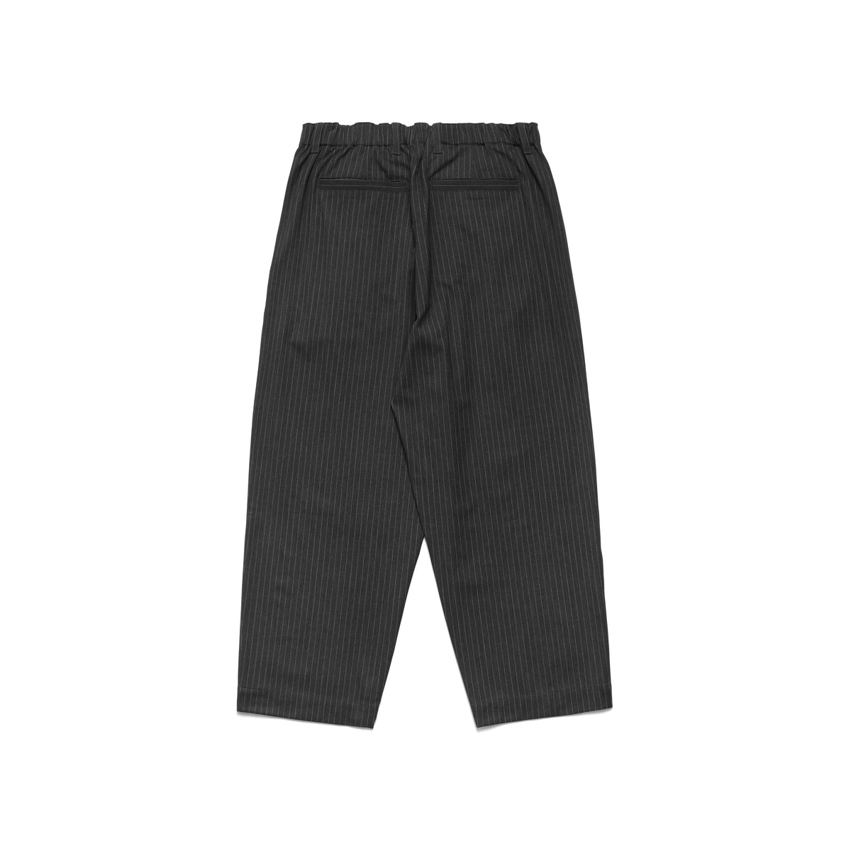 Elastic Waist Baggy Pant