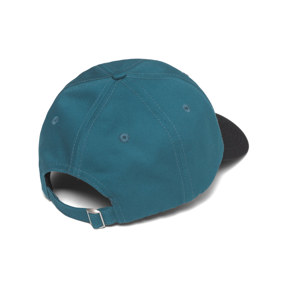 Team Logo Dad Hat