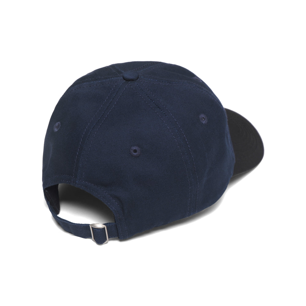 Team Logo Dad Hat